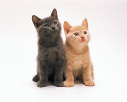 �K����e����